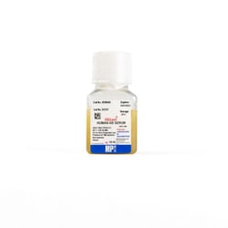 MP Biomedicals™ Humanserum, Typ AB